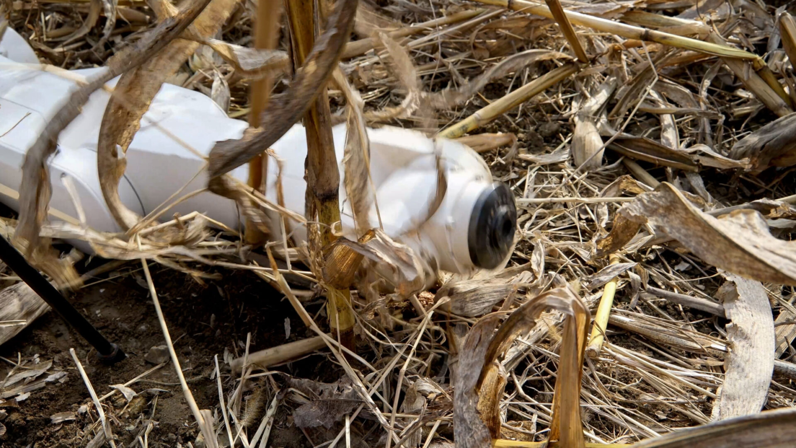 ๐๐๐จ๐ฎ๐ฟ๐บ๐ถ๐ป๐ด (still), 2022. Film. ยฉ Emanuel Gollob.