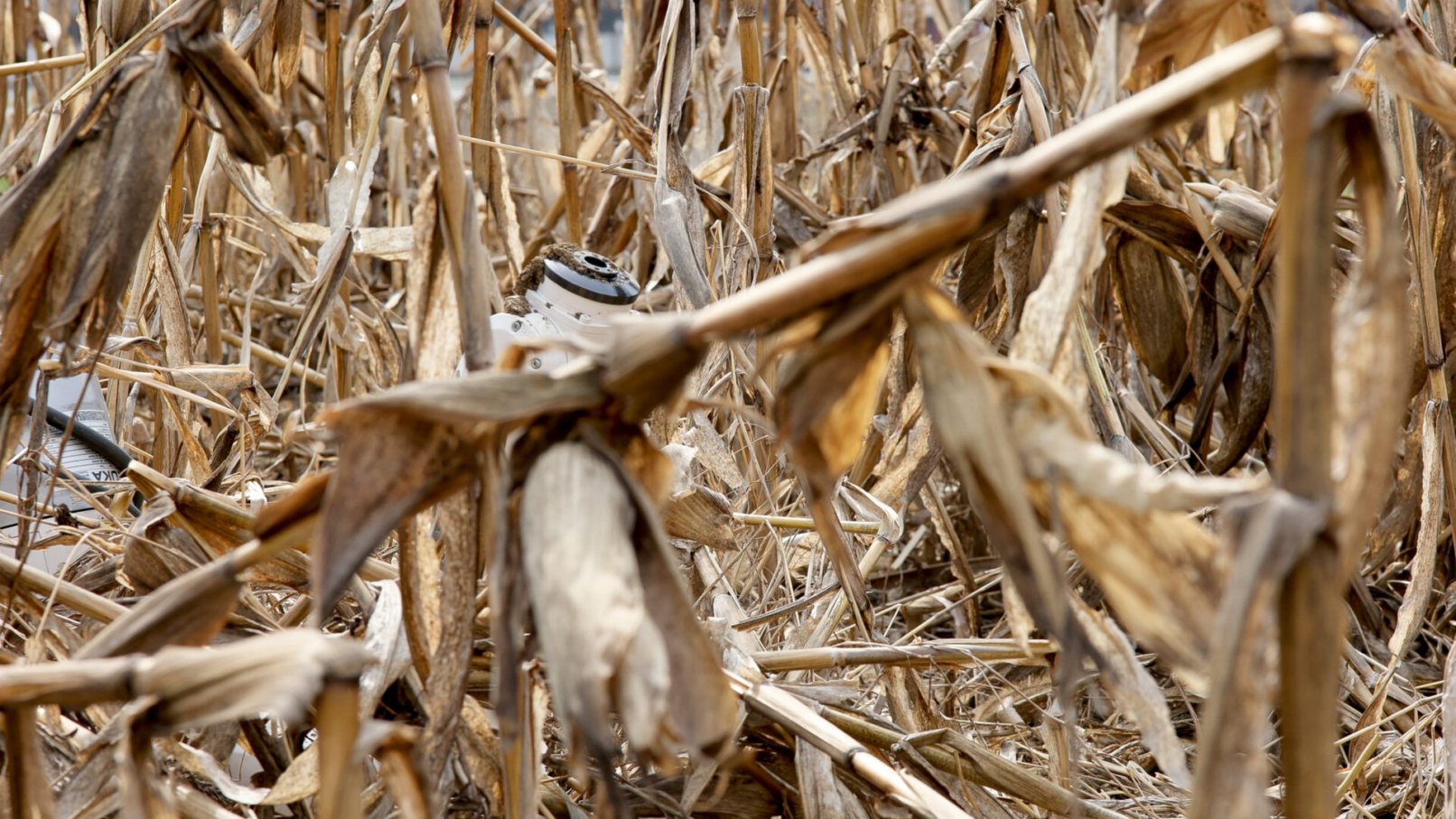 ๐๐๐จ๐ฎ๐ฟ๐บ๐ถ๐ป๐ด (still), 2022. Film. ยฉ Emanuel Gollob.