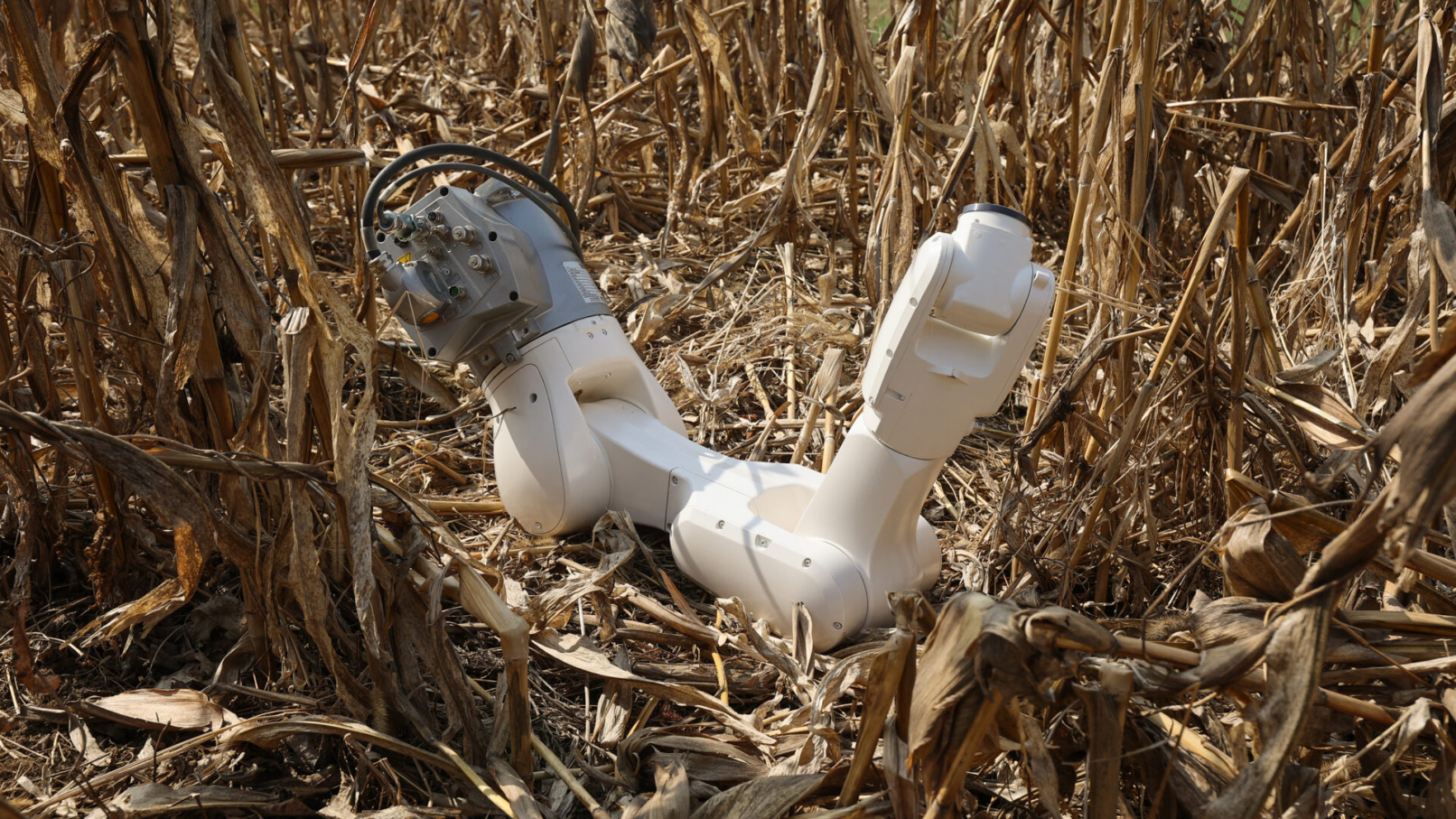 ๐๐๐จ๐ฎ๐ฟ๐บ๐ถ๐ป๐ด (still), 2022. Film. ยฉ Emanuel Gollob.