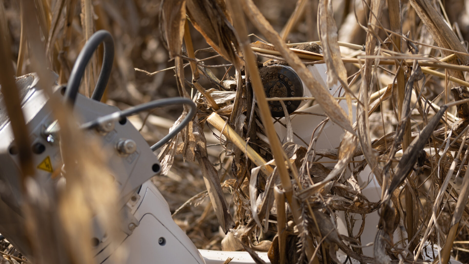 ๐๐๐จ๐ฎ๐ฟ๐บ๐ถ๐ป๐ด (still), 2022. Film. ยฉ Emanuel Gollob.